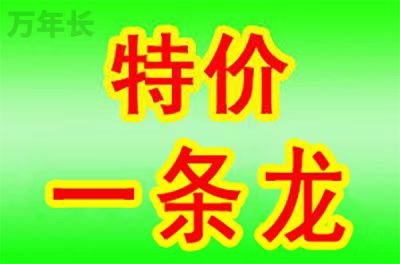 广东省韶关市始兴县马市镇墓地价格是多少？